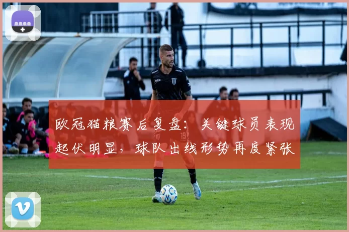 欧冠猫粮赛后复盘：关键球员表现起伏明显，球队出线形势再度紧张