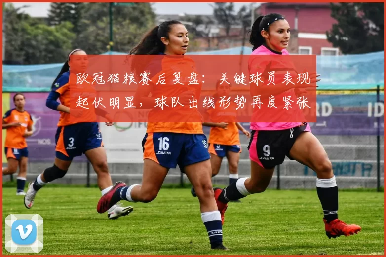 欧冠猫粮赛后复盘：关键球员表现起伏明显，球队出线形势再度紧张